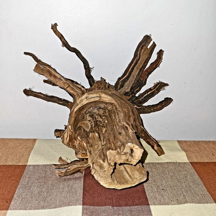 Vând cioate decor acvariu