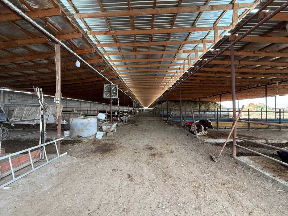 TAYYOR 4 GEKTARLI JOY Sotiladi #a730