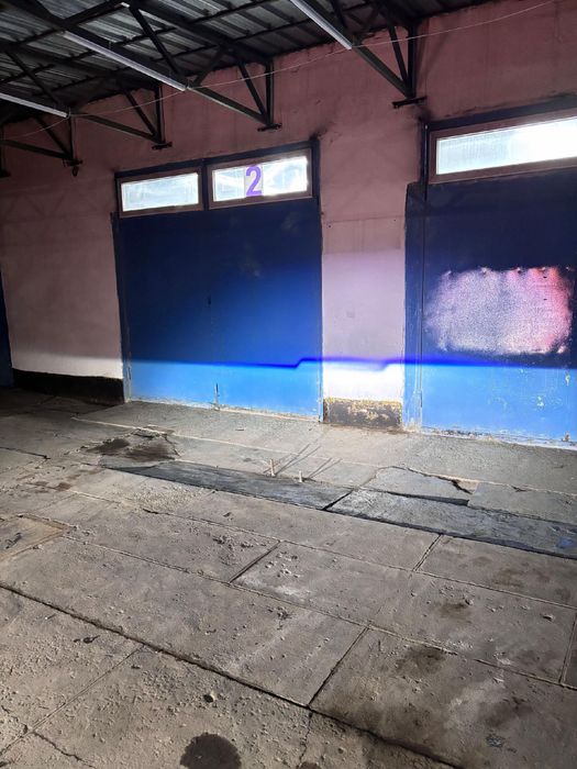 Камрий 20 Фара +Би лед