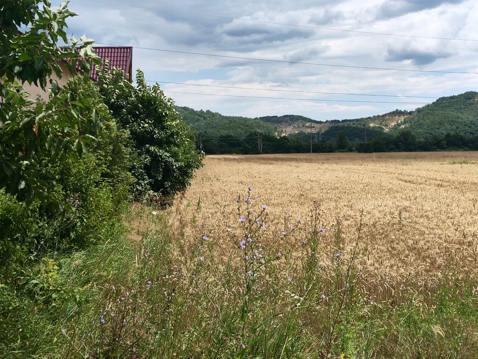 Teren de vanzare