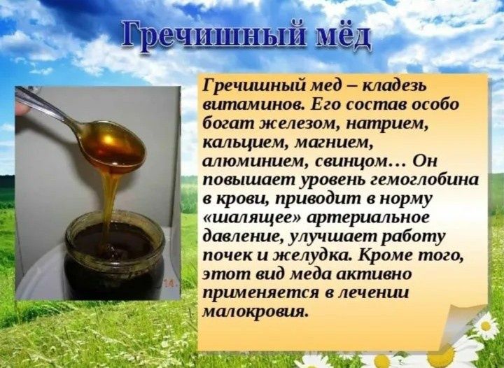 Мёд сатылады 40литр Гречишный
