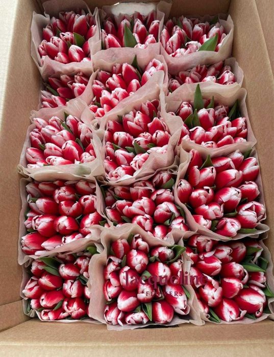 Тюльпаны оптом и в розницу
