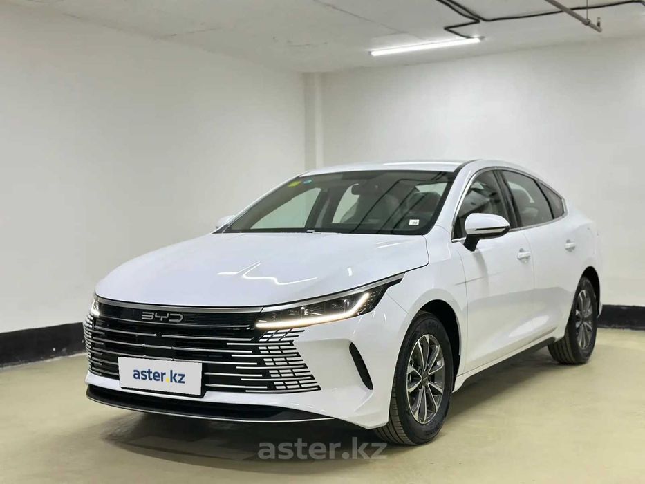 Двери на BYD QIN PLUS 23-