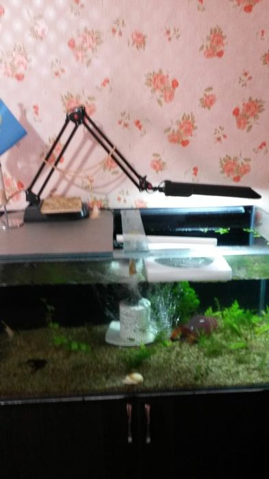 Большой аквариум