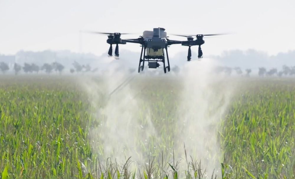 Пръскане със земеделски дрон DJI AGRAS T50