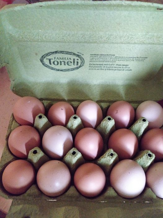 Oua de tara din gospodarie la cofrag de 30 oua