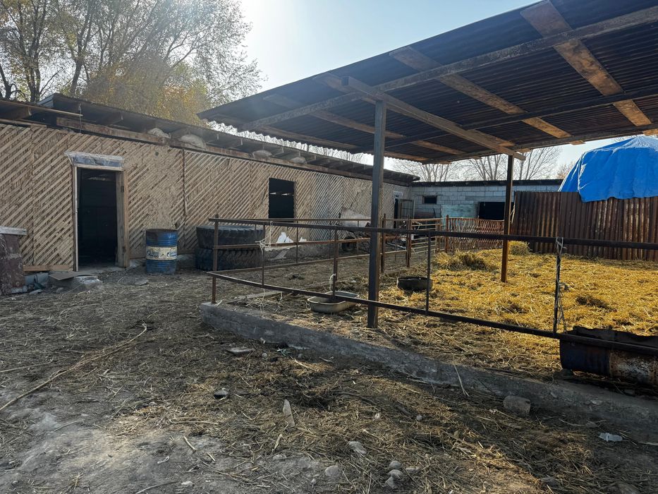 Продам дом с базой в жаркенте