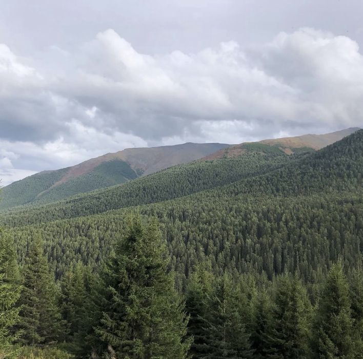 Продам дом в районе Катон-Карагай.