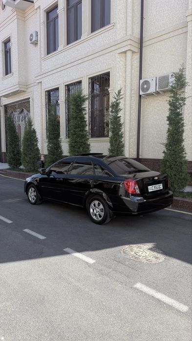Своя жентра 2021