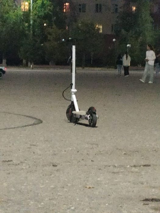 Электронный самокат