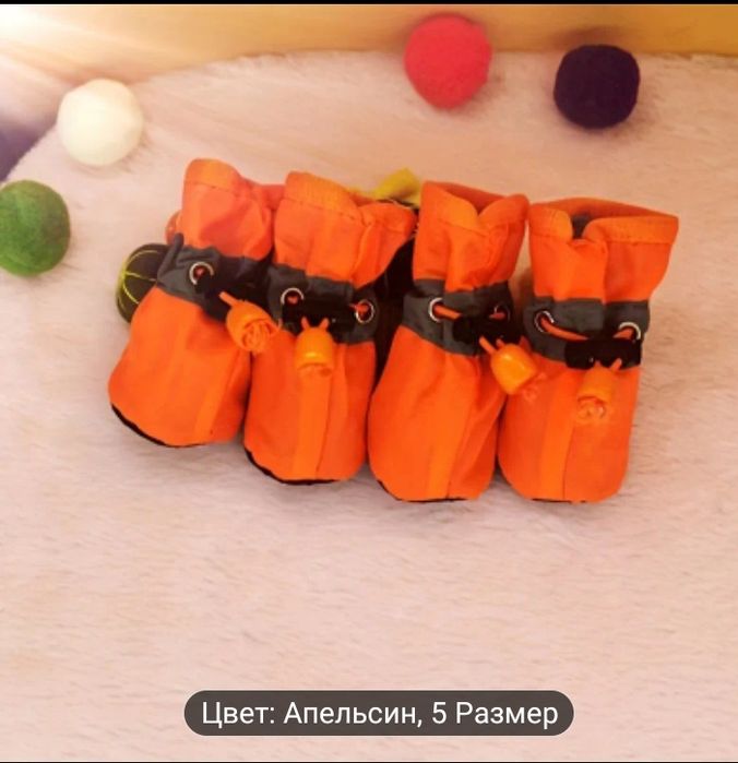 Товары для маленьких собак