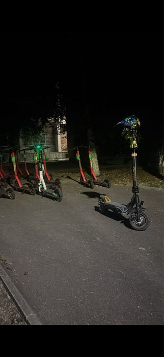 Ruptor r1 lite negociabil