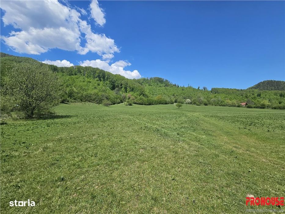 EXCEPTIONAL,Teren 5.370mp, Poiana Sarata