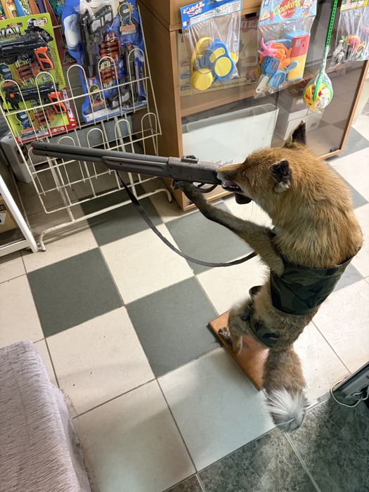 Препарирана лисица