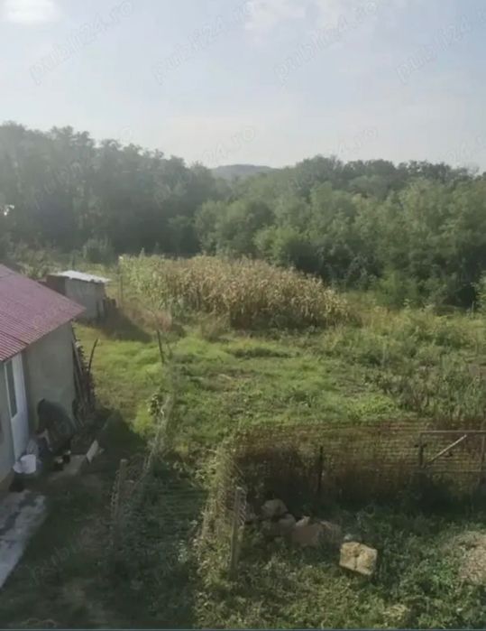 Casă de vânzare comuna Tansa