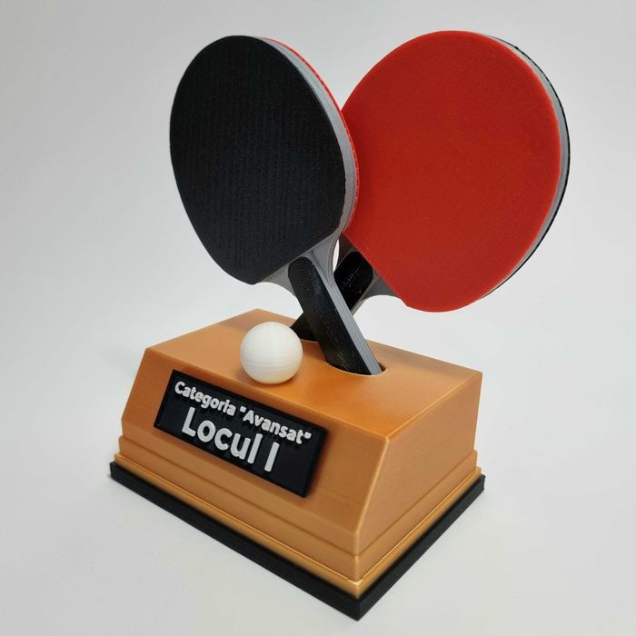 Trofee personalizate pentru orice competiție - printare 3D #up3D