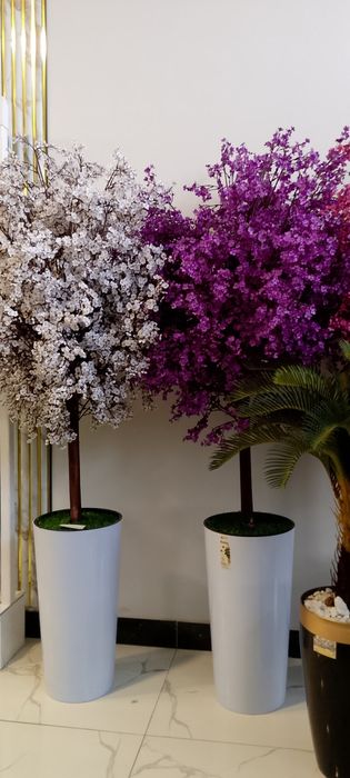 Суний дарахтлар олами суний гуллар.