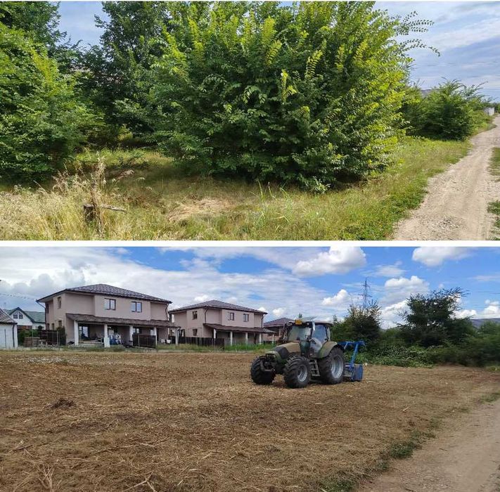 Curățare teren de vegetație, ambrozie, copaci