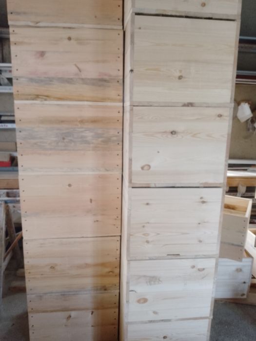 Asalari yawiklari 14-16 ramkali