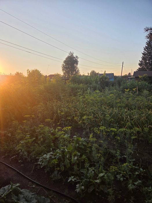 продам дачу в СТ Титан (п.Новая Согра)