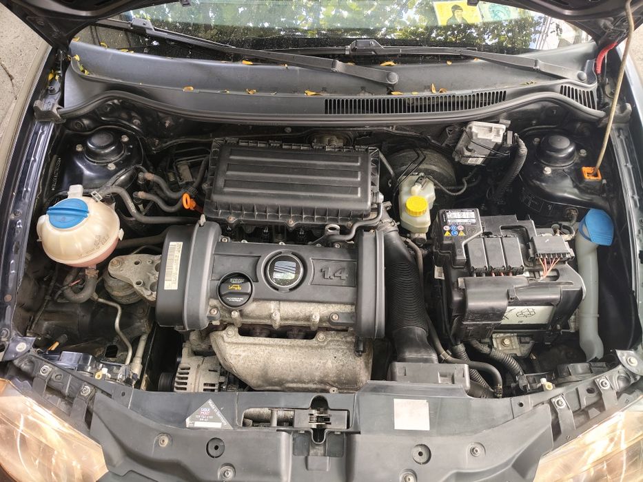 SEAT Ibiza 2007 — imagine 3