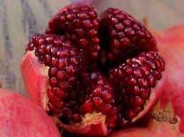 Данаксиз анор кўчатлари ишончли, сифатли ва хосилдор