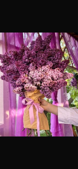 Сирень букеты алматы