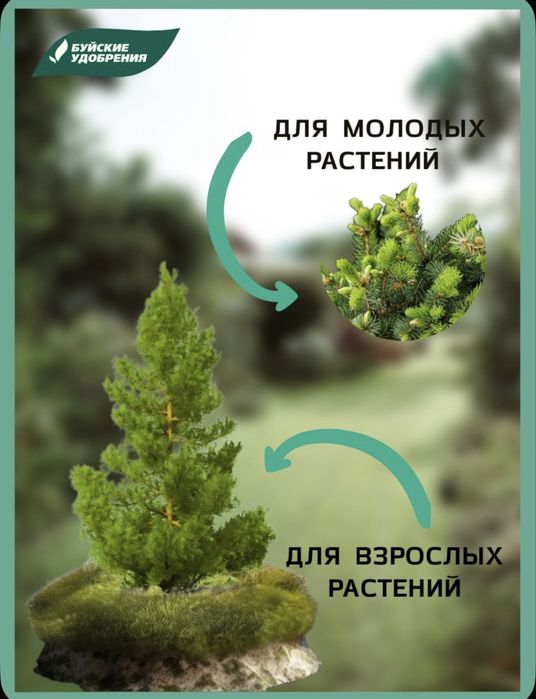 Зеленая Игла -миниральное удобрение для хвойных культур