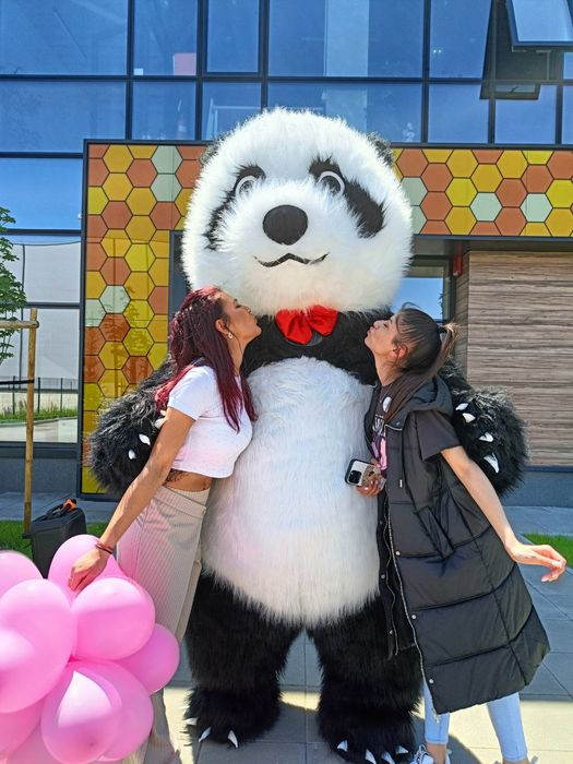 Изненада Забавна панда/мечка/стич/заек/ за всякакви поводи+Водещ