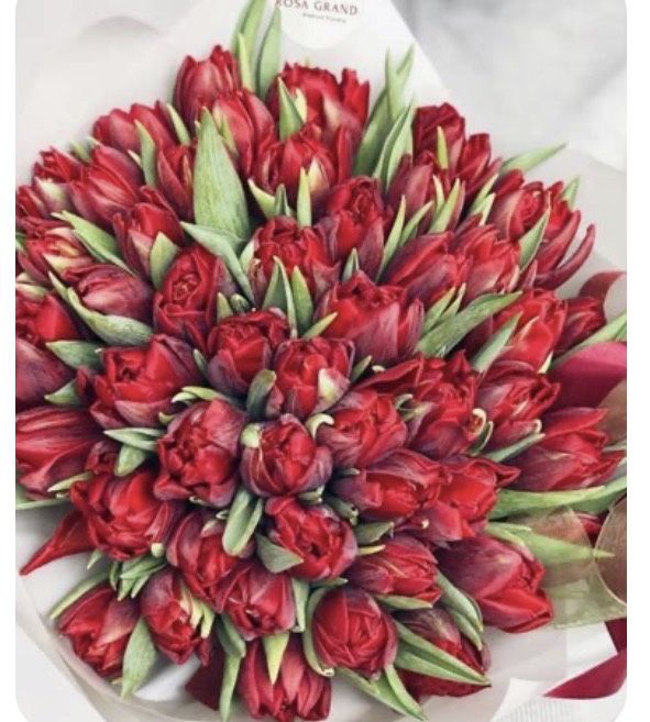 Тюльпаны Голландия.Доставка!Букеты