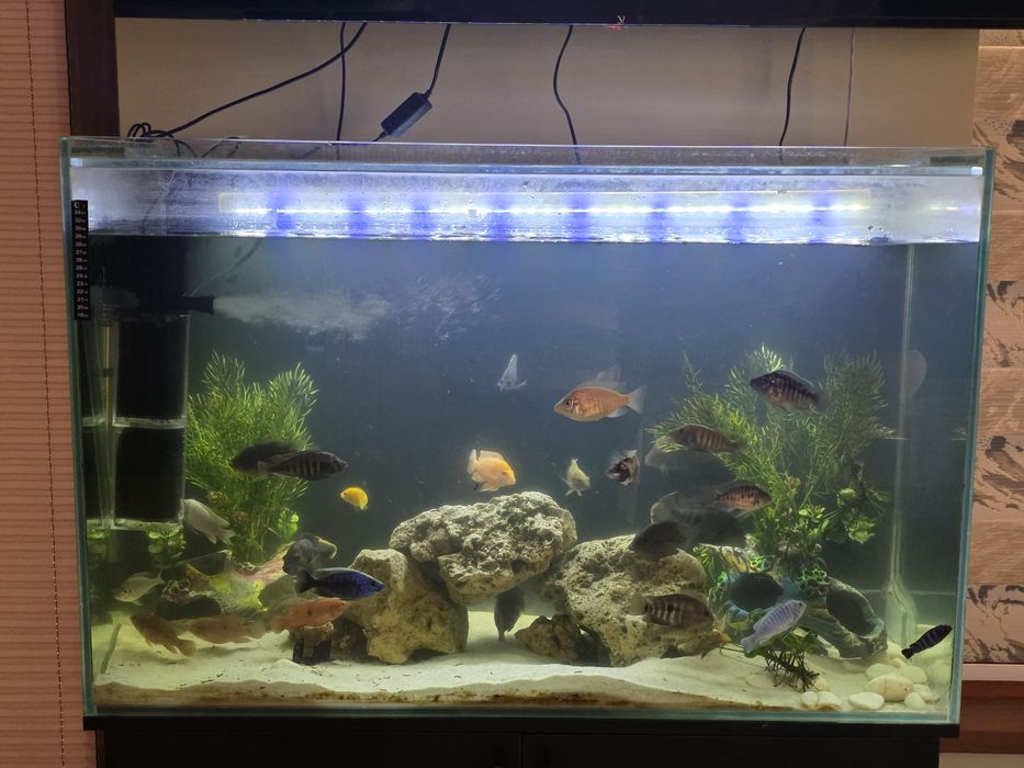 Аквариум 300л,500литрли