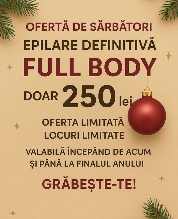 Oferta de sarbatori!