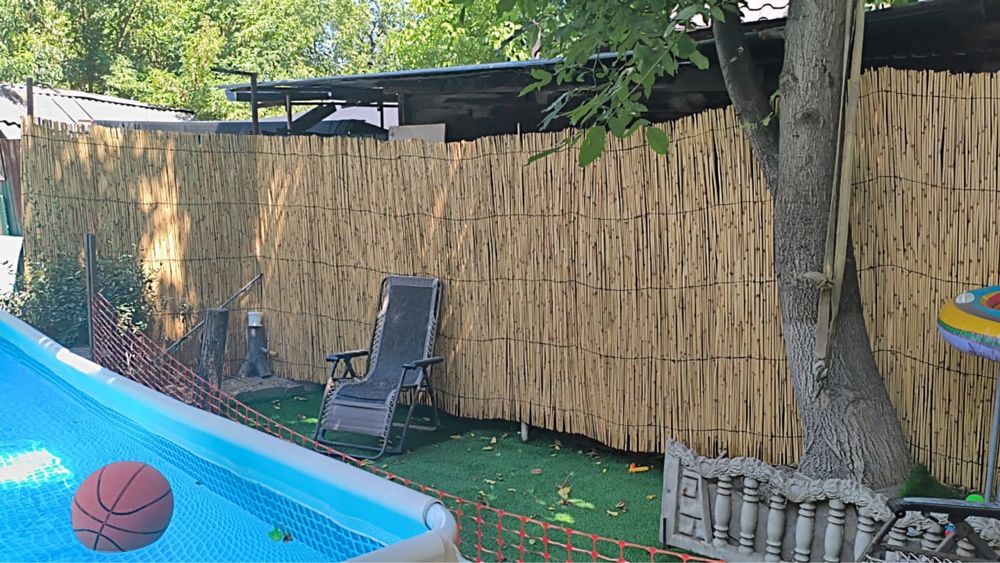 Декоративный камыш !