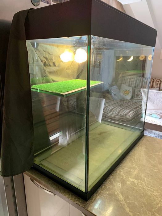 Акватерариум за костенурки