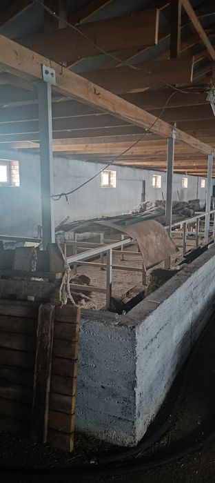 Откорм база Астана