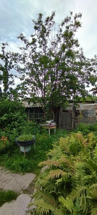 Продам дом, с. Тарханка