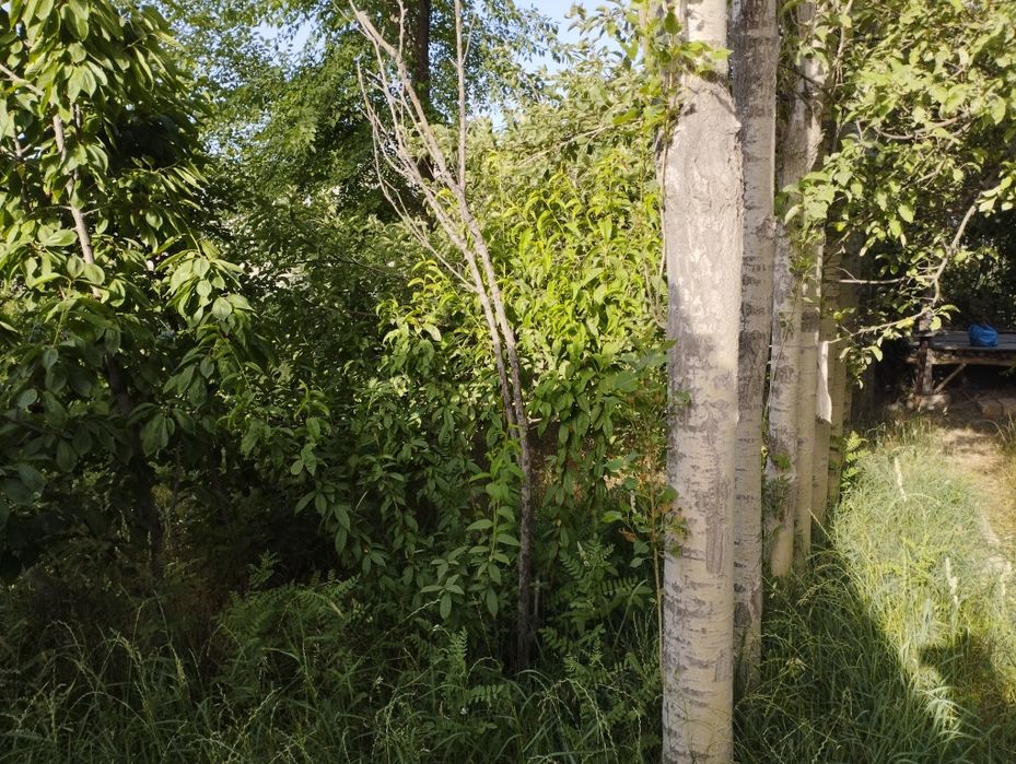 Ер срочна сотилади
12 сотихли