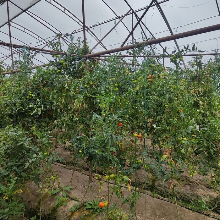 Продажа Катеддж .
