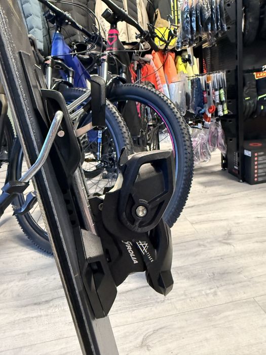 Schiuri Majesty 2023