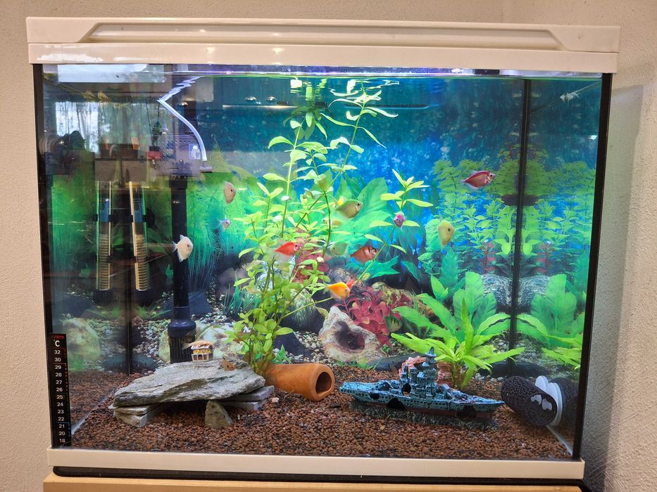 Три аквариума комплект с рибки