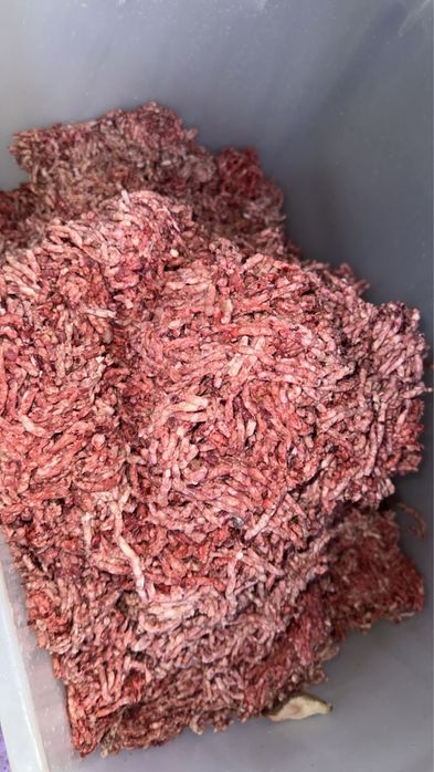 Фарш свиной Бесплатная доставка (Костанай-Рудный)