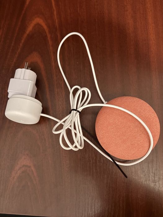 Google Nest Mini