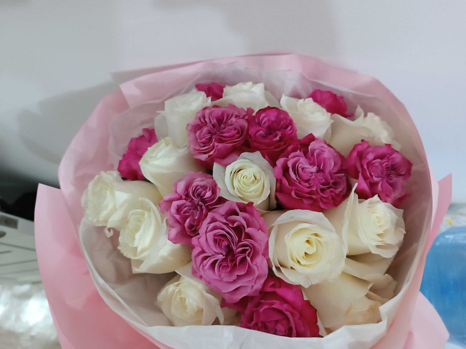 Продам цветы б/у