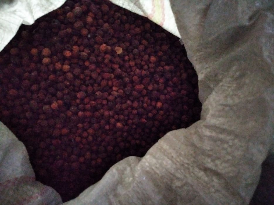 Vand paducel uscat si macesel