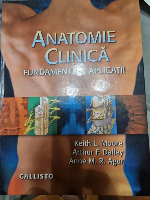 Anatomie clinica