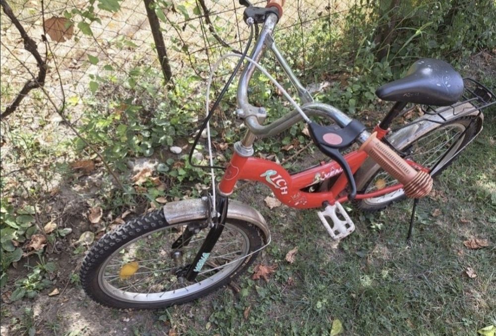 Bicicleta RICH 20" rosie