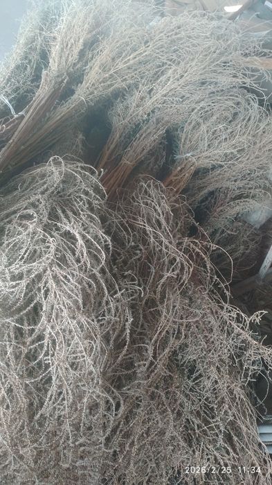 Ховли супурги сотилади 80та.