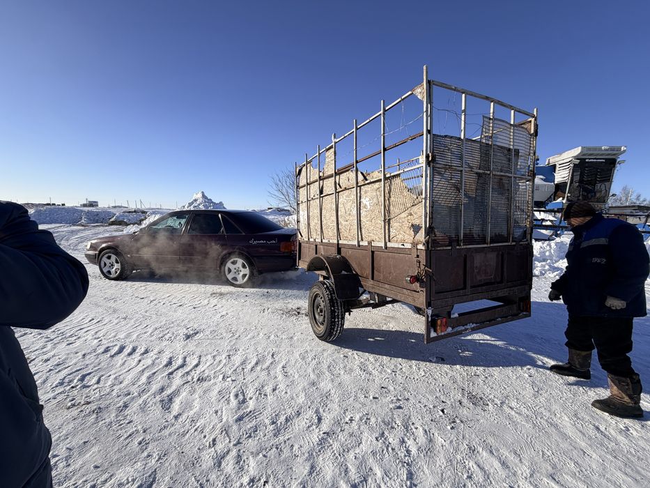 Продам прицеп легковой коневозка