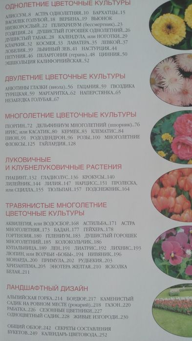 Цветы на Вашем участке