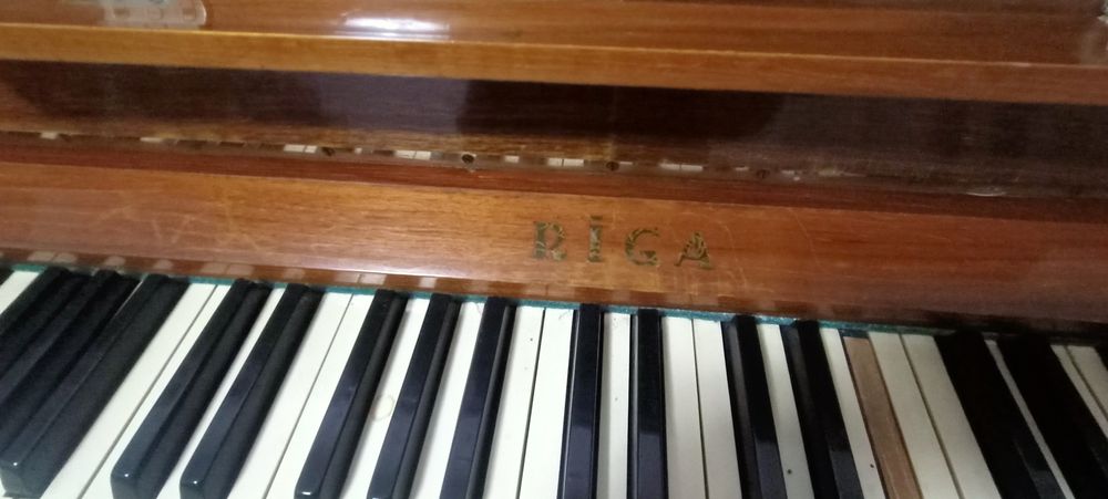 Пионина срочно 1953